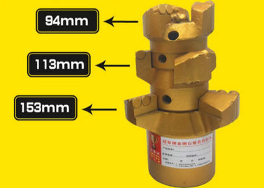 Dimensione di pezzi del pozzo d'acqua del carburo di tungsteno su misura per la trivellazione gas/del petrolio