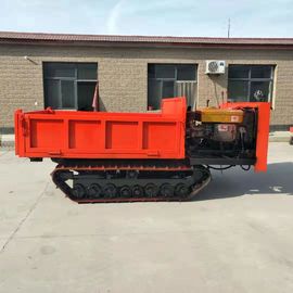 Tipo manutenzione semplice su misura del cingolo del trasportatore della pista da 3 tonnellate di dimensione